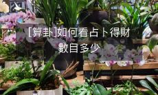 如何根据占卜结果推断财富数量的算卦技巧