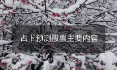 使用占卜来预测股票市场的主要内容