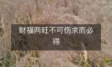 不得伤害求财求福的目的,必可获得双倍的幸福和财富