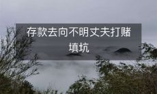 深陷赌博险境,丈夫存款去向成谜,妻子不得不冒险以赌博填补亏空的故事