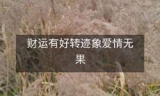 虽有财运改善迹象,但爱情仍未能如愿达成