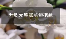升职加薪被推迟无限期,工作前途黯淡无光,面临着升迁无望与薪资不升的沉重困境!
