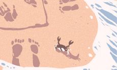 2013年11月份生肖鸡的首个运程：吉凶逆旅，预测指引！