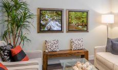 在客厅的西墙挂什么画是忌讳的？哪些类型的画作适合装饰客厅的西墙？