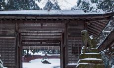 在风水迷信中,进门首先遇见的水缸配合合适的位置不仅有助于招财纳福,也能提升整体运势,你知道吗?