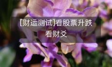 免费财运测试:如何借助财爻预测股票的上涨和下跌