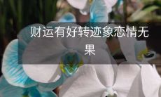 财运逐渐好转,但恋情却没有实现预期,表现出无可奈何的状况