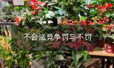 不合法竞争行为是否应该受罚?对不合法竞争行为的罚款与不罚款的影响分析