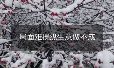 难以掌控的情势导致了无法成功开展商业活动