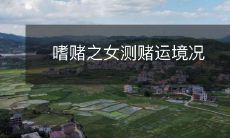 一个嗜赌成性的女子,对自己的赌运进行了环境测量和评估