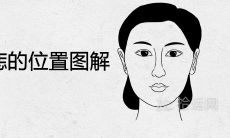 如何通过图解判断女人左肩膀痣的位置？
