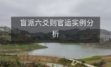 透过盲派六爻预测官运?探讨实例分析为例的可能性