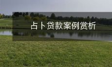 全面解析占卜贷款:基于真实案例的贷款申请与占卜方式探究及其影响分析