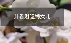 利用卦象预测财运并决定女儿婚姻对象:卦象指引下的财运预测和婚姻决策