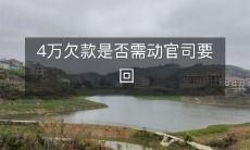 当债务方欠款达到40000元时,是否有必要通过法律手段追回欠款?