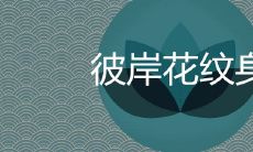 纹彼岸花的女人应该注意哪些忌讳？这种花朵的寓意是否令人满意？