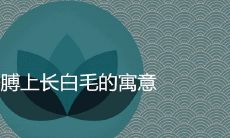 胳膊上长白毛到底是吉兆还是凶兆?探讨这一现象的寓意和意义