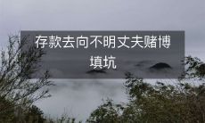 妻子困扰:存款流向不明,或因丈夫赌博而耗尽,令人感到填坑无望!