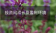 如何在当前成长期和盈利环境下做出明智的投资决策?