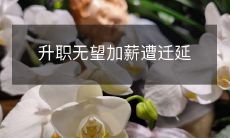 升职无望,加薪迟迟未到,一直被迁延的挫败感及工作不满如何解决?