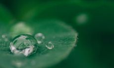 学习算命的人需知五不说,其中蕴含何种危险?真的存在算命危机吗?