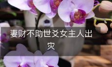 因夫财被拒,世爻女主人独力面对灾难的考验