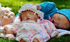 何时会出现那位属于属虎人的另一半？他们的姻缘究竟是在哪一年煜煜生辉？