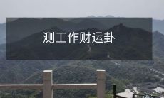 如何通过测工作财运卦来预测未来职业和财务发展趋势？