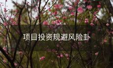 如何规避项目投资中可能遇到的各种风险和不确定性以实现成功的长期回报?