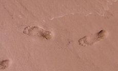 如何分辨富贵命的脚以及脚底平是否是富贵命的关键特征?