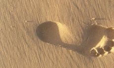 探究四种不同脚型与命运的关系:贫穷、富贵、成败的解析