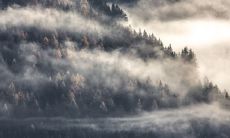 通过破费向算命师请教灾难的解决之道，是否真的可以挽救命运？