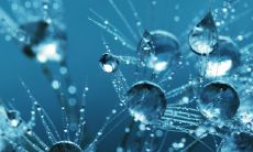 深度剖析水地比卦,分析其中蕴含的感情姻缘命运,探讨其可能的结局与发展趋势