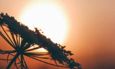 完整的2022年乌兔太阳日时刻表:一览表及详细信息