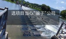 如何避免选错项目,不被“骗子”公司欺骗?