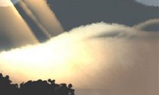 据八字算命，快来学习如何使用八字计算大运日!