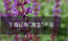 从事下海经商的道路不易,需要付出艰辛努力寻找黄金机会