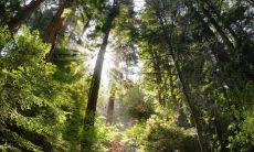 太阳丘凹陷、有竖纹的人的命运怎么样？他们的未来会好转吗？