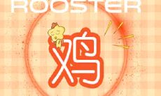 属鸡人约会时需注意的误区与忌讳：避免陷入尴尬且增加成功率的建议