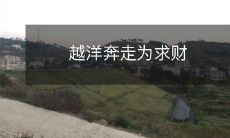 为了追求财富而跨越大海奔波的不屈不挠之人