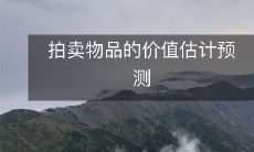 使用估值模型进行拍卖物品价值的预测和估算