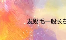 众所周知,发财毛是一种传说中的吉祥物,很多人都希望能够拥有它,但是大家可能不知道它究竟长在哪里。因此,本文将深入探究发财毛所在的部位及其文化背景