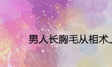 根据相术,男性长胸毛是否代表帝王相?深入探讨男性胸毛的象征意义