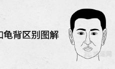 通过图解比较人驼背和龟背的区别，探讨其与人生命运之间的关联程度