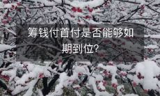 在规定期限内成功筹集资金以支付房屋首付款是否能够得以实现?