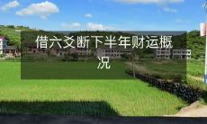 通过运用六爻预测技术，探究下半年财运走势的概览