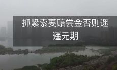 如果不积极追讨赔偿金，可能会一直无法得到补偿