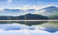 什么生肖最适合女狗配对？属兔男的选择：最优婚配指南