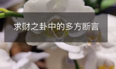 探究《求财之卦》中众多方的决断和断言