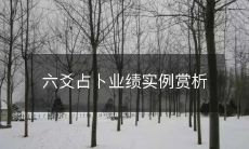 通过六爻占卜,实例赏析企业业绩的影响力和应用价值